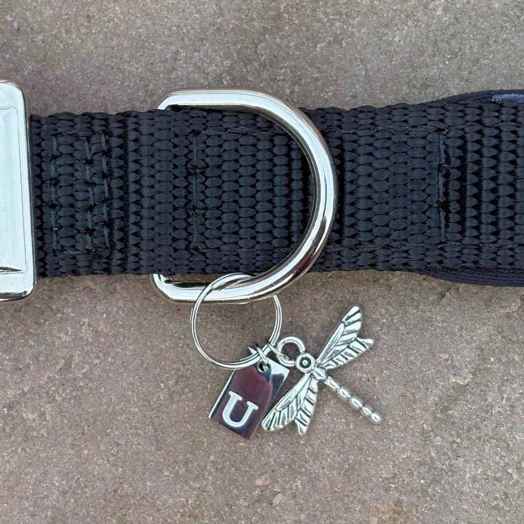 Initial Tag (A-Z) Charm