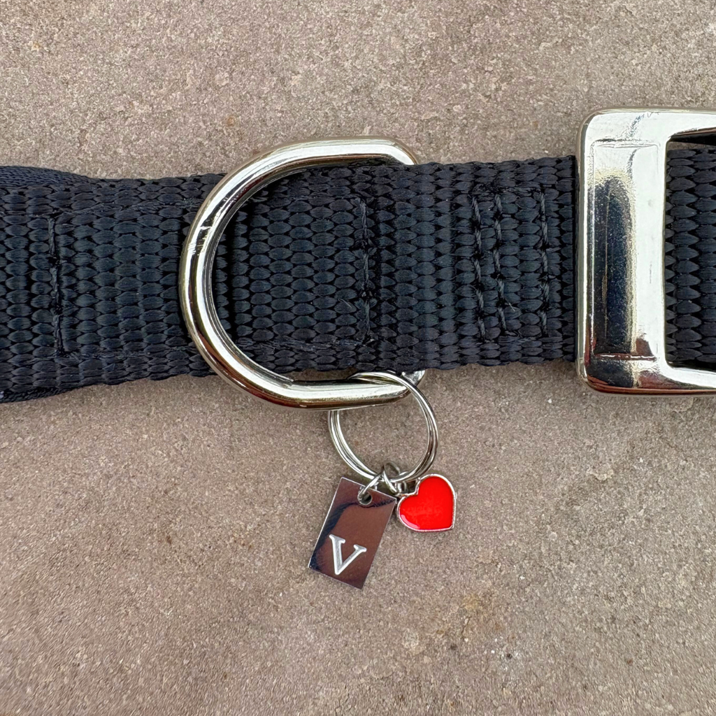 Initial Tag (A-Z) Charm