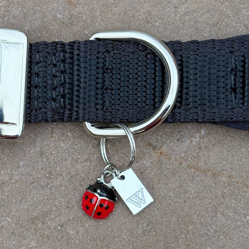 Initial Tag (A-Z) Charm