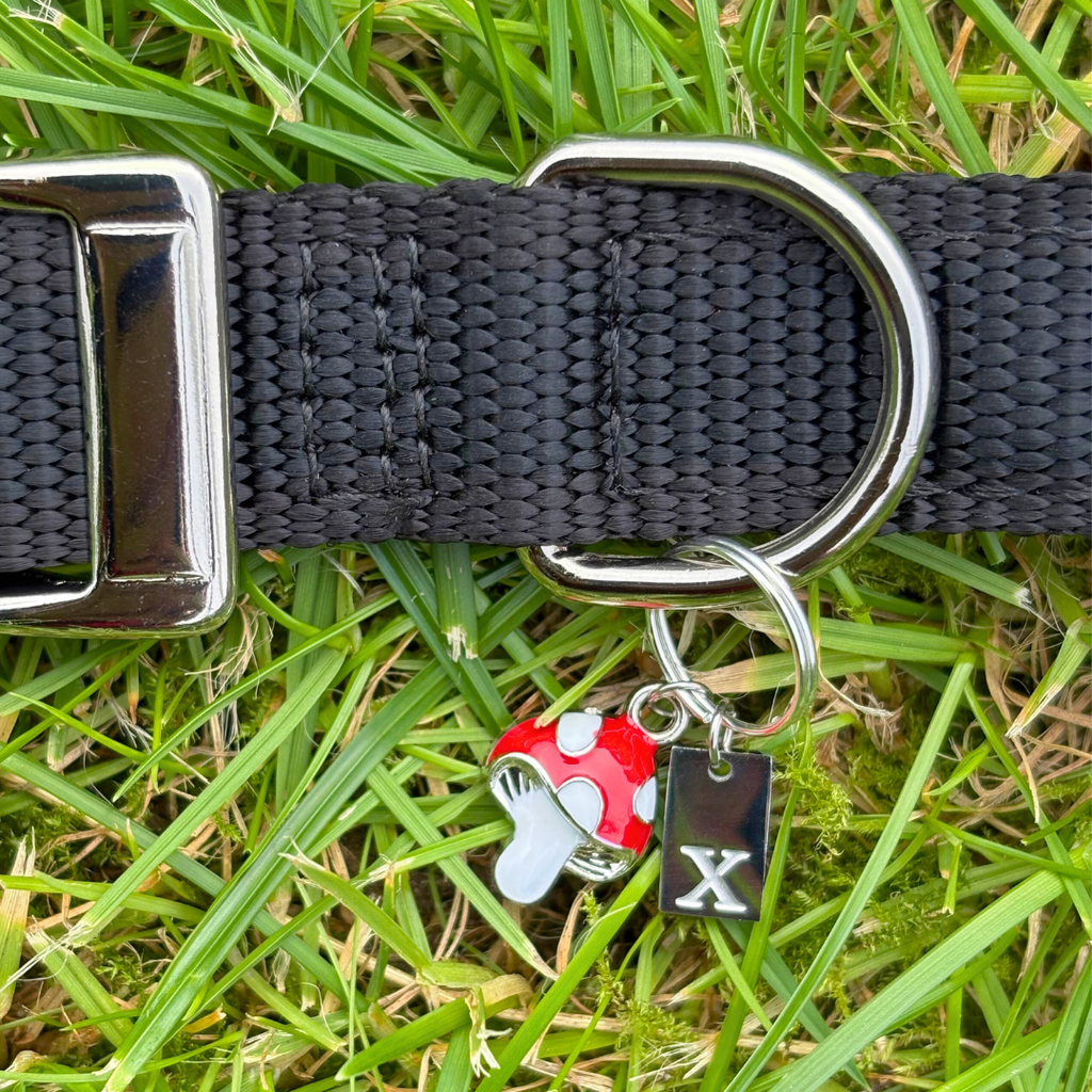 Initial Tag (A-Z) Charm