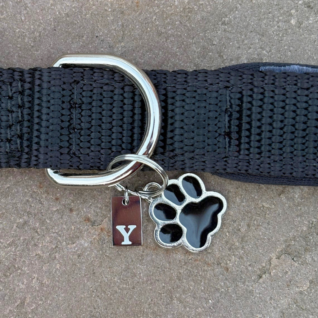Initial Tag (A-Z) Charm