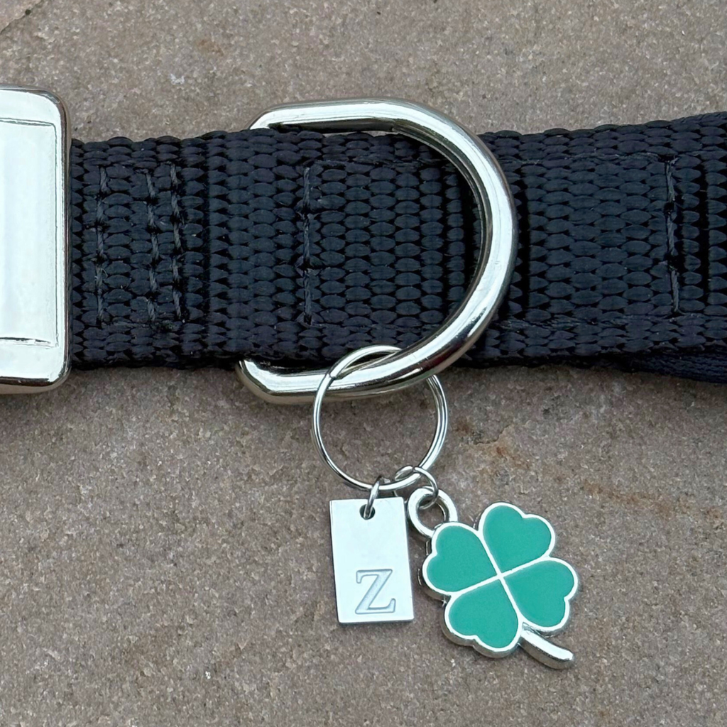 Initial Tag (A-Z) Charm