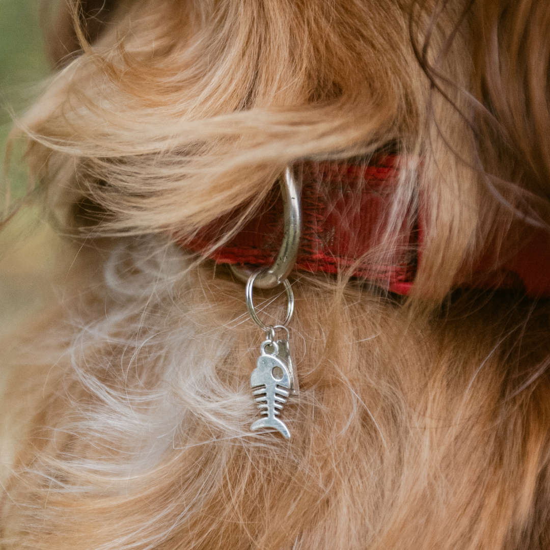 Fishbone Silver Charm