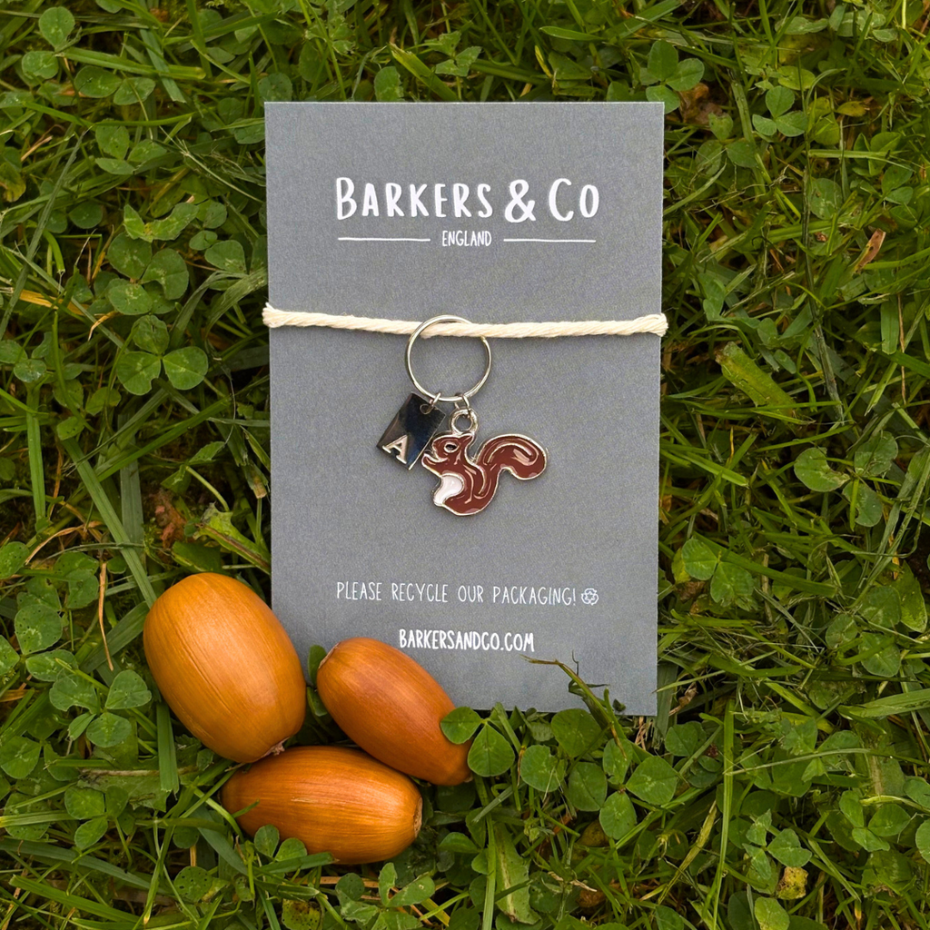 Squirrel Charm