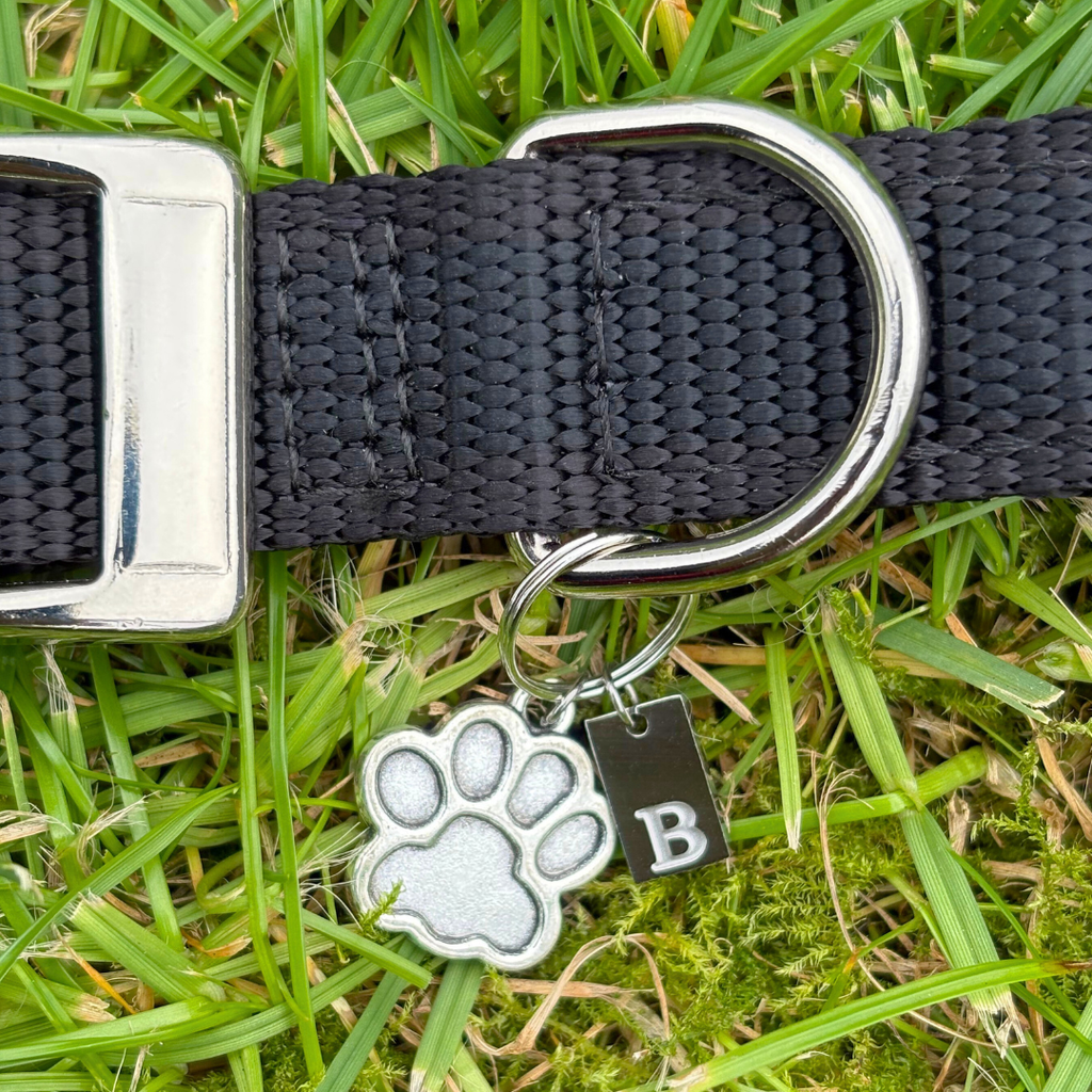 Paw Silver Charm