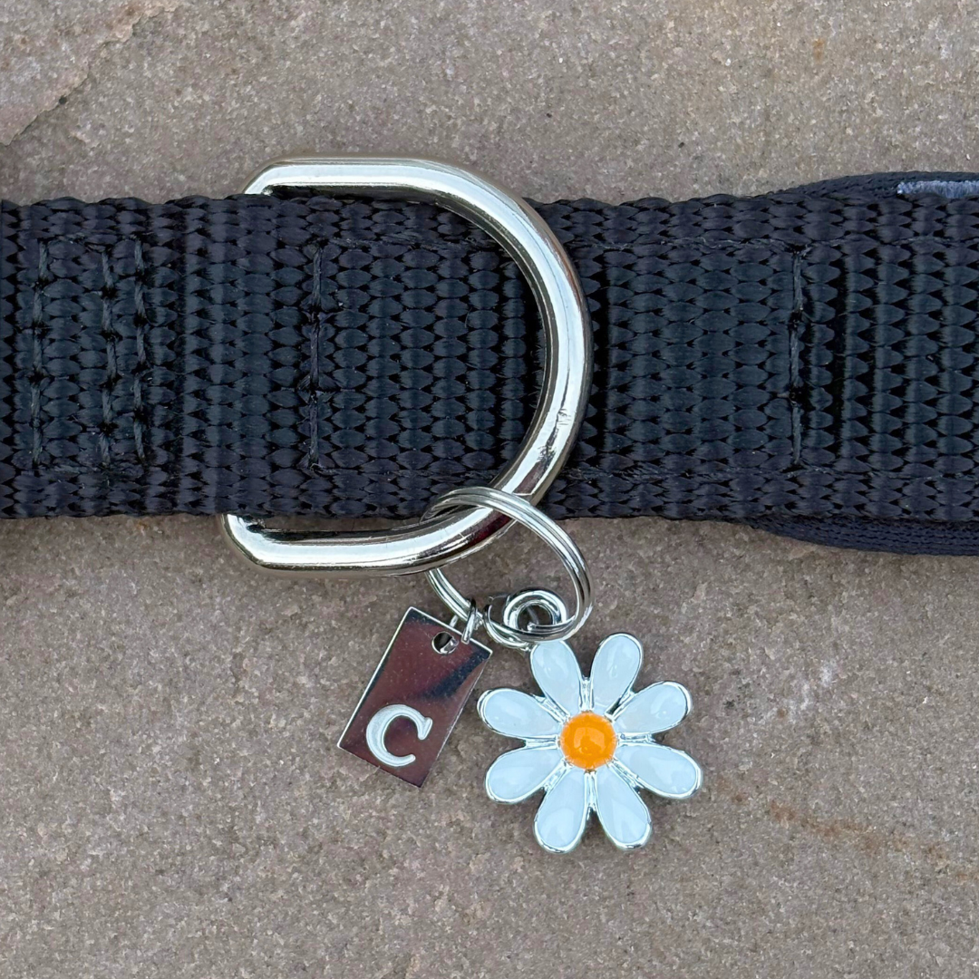 Initial Tag (A-Z) Charm