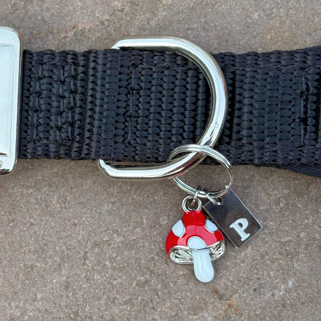 Initial Tag (A-Z) Charm