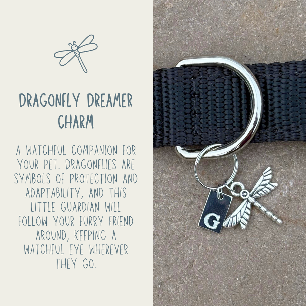 Dragonfly Dreamer