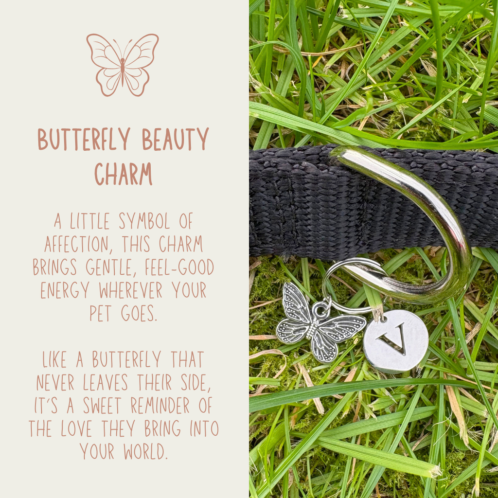 Butterfly Beauty (Silver)