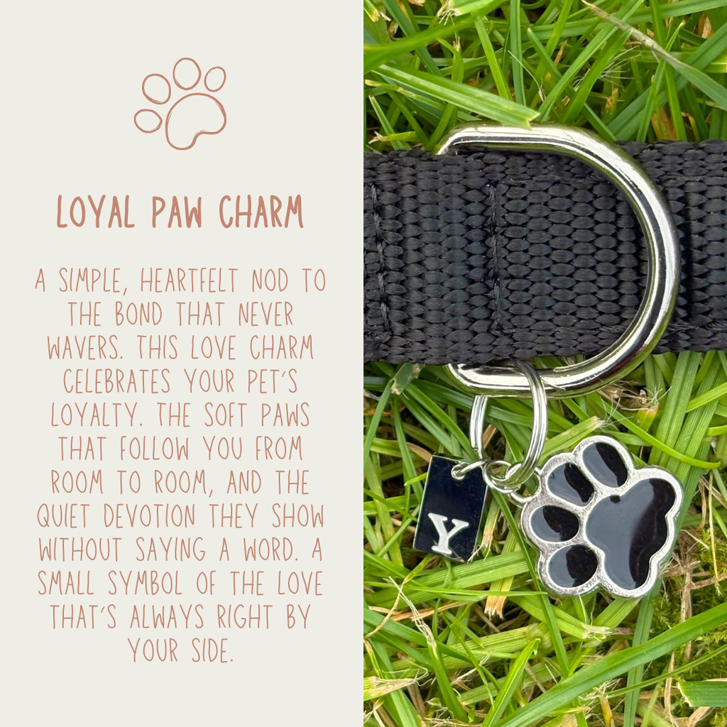 Loyal Paw