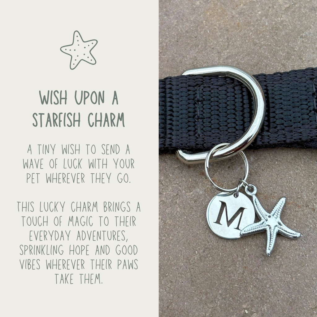 Wish Upon a Starfish